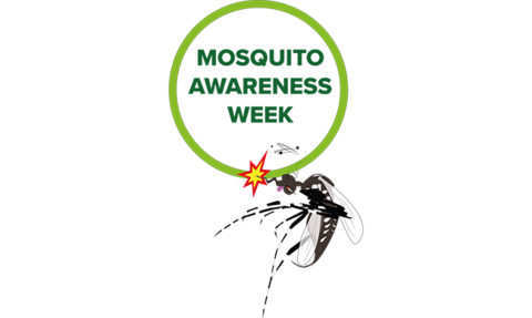 More resources - Caribbean Mosquito Awareness Week