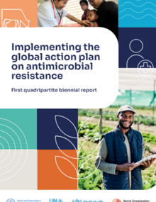 Implementing the global action plan on antimicrobial resistance: first quadripartite biennial report