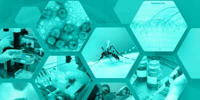 Recomendaciones para la detección y el diagnóstico por laboratorio de infecciones por arbovirus en la Región de las Américas