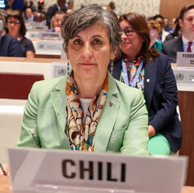 Minister of Health of Chile, Ximena Aguilera