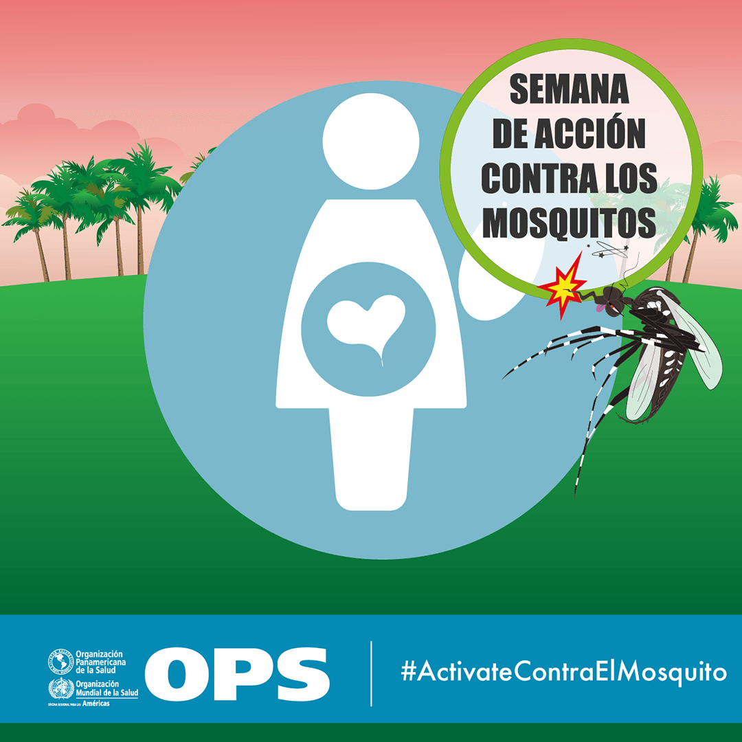 Semana De Acción Contra Los Mosquitos 2018-2019: Postales Para Redes ...