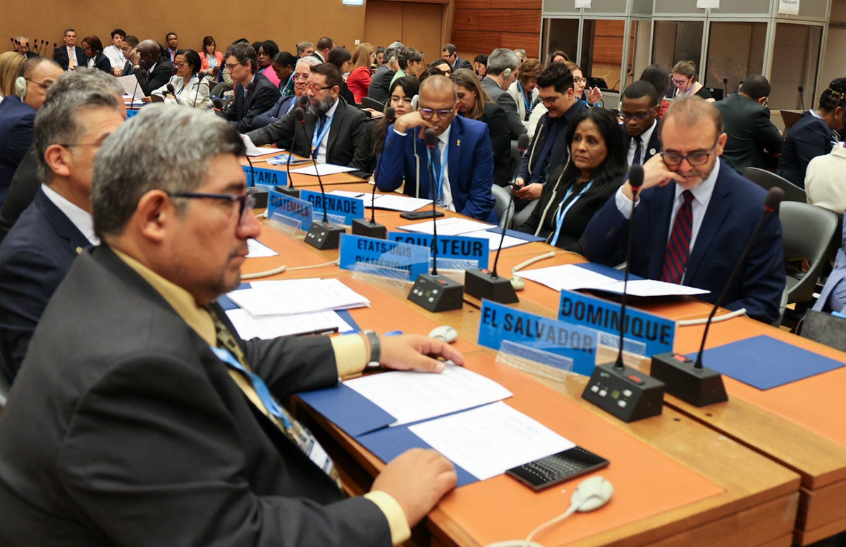 Delegations of the Americas