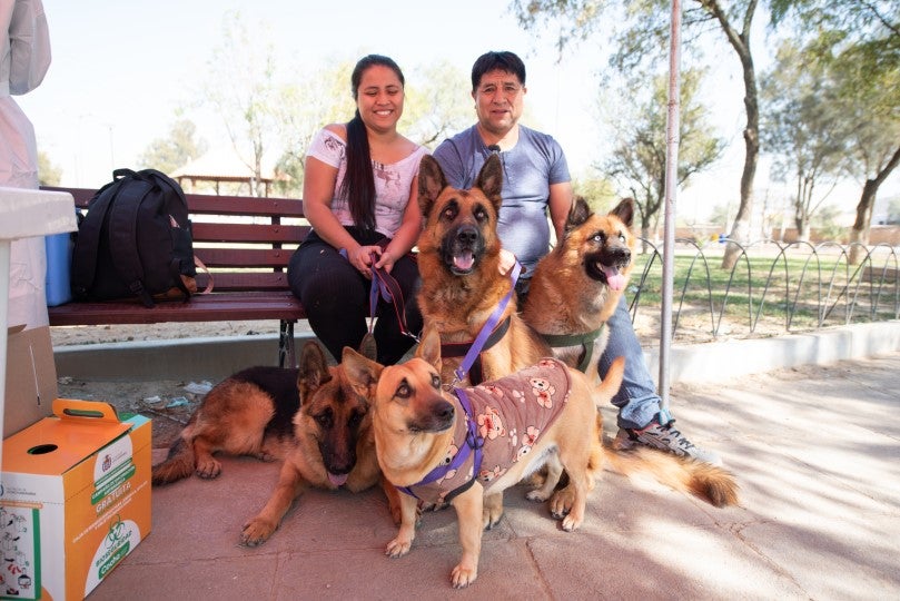 personas con sus mascotas en la campaña vacunacion