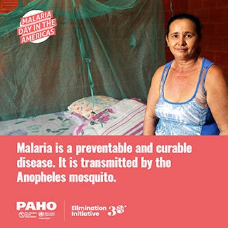 Malaria Day in the Americas