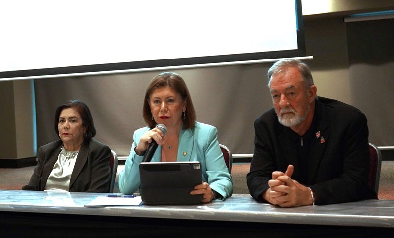 Representante de OPS en República Dominicana durante la presentación en el taller