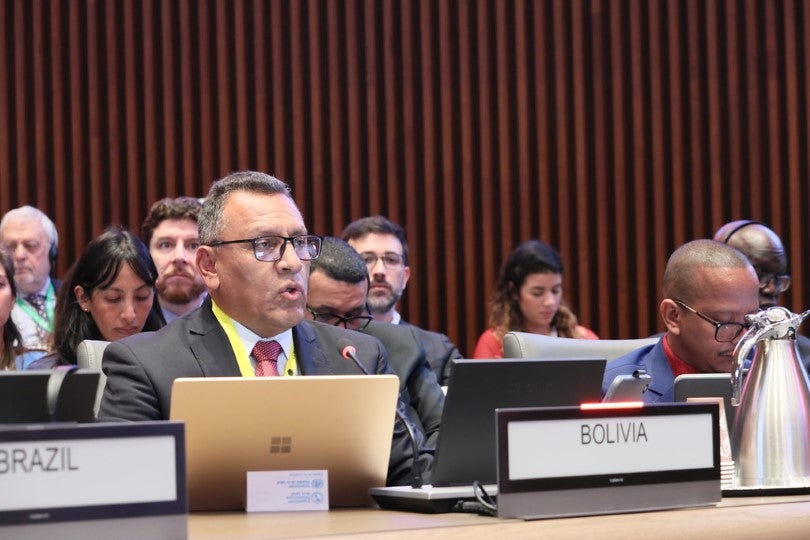 delegado Bolivia al consejo directivo