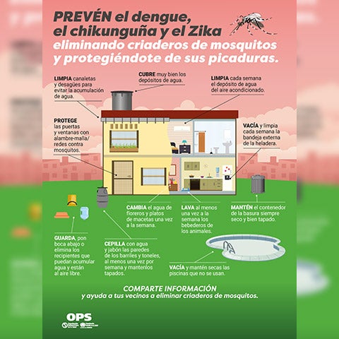 Imagen de un afiche vertical para cuidarnos del dengue