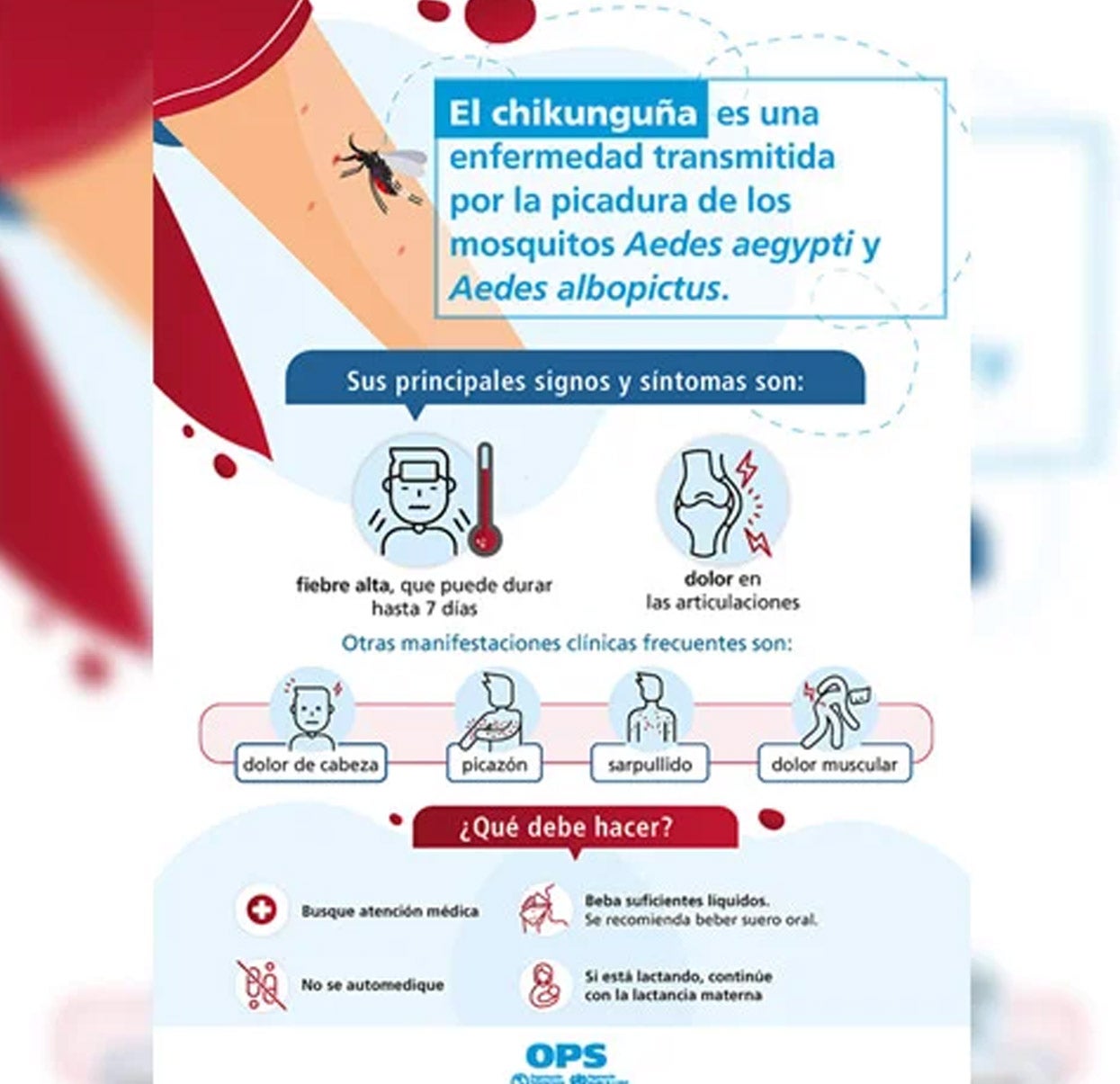 Poster campaña chikungunya