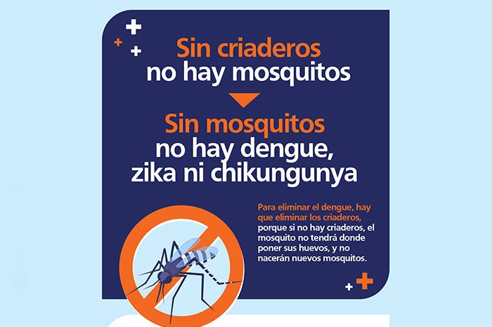 Dengue - sin criaderos no hay mosquitos