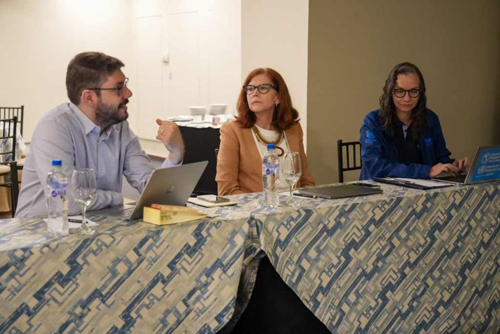 En la mesa  técnica participan Leandro Sereno, asesor Regional para la Eliminación de la Transmisión Materno Infantil (ETMI plus); Angélica Miranda Espinoza, miembro del Comité de evaluación para la certificación de la EMTI plus; y Valeska Stempliuk, asesora internacional de la oficina país en Ecuador.