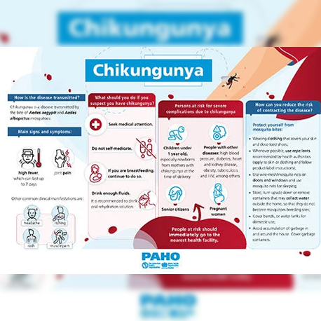 Chikungunya flyer