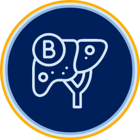 Hepatitis B icono