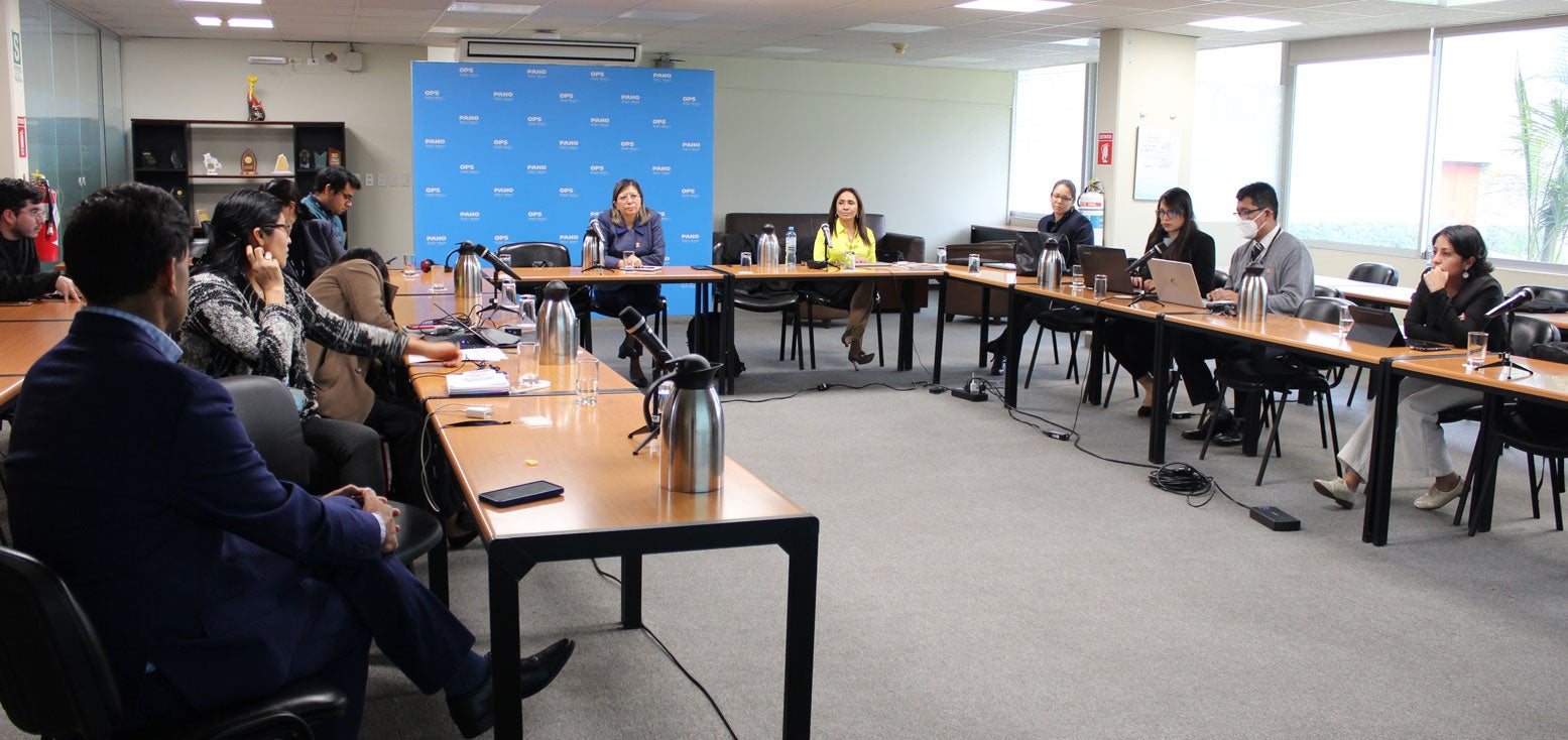 OPS/OMS|| Especialistas durante en el Reunión Técnica ”Análisis de los Datos Provenientes de Estadísticas Vitales en Perú con énfasis en Salud Materna y Neonatal”