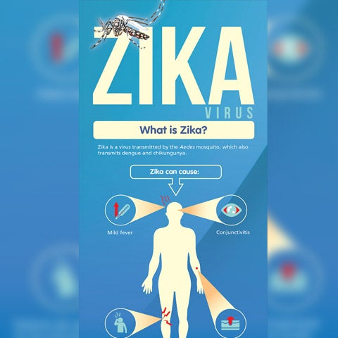 Zika infographic preview