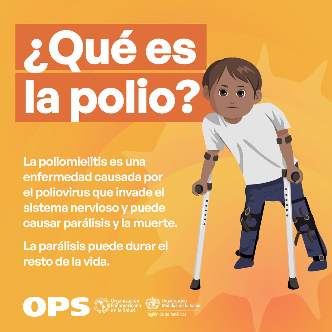 world polio day 2024 flyer social media