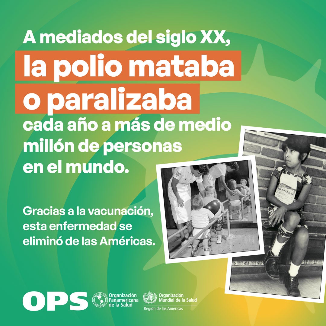 world polio day 2024 flyer social media