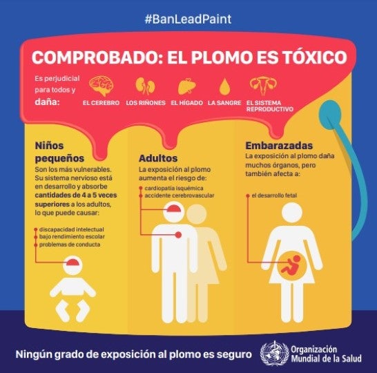 infografia el plomo es toxico