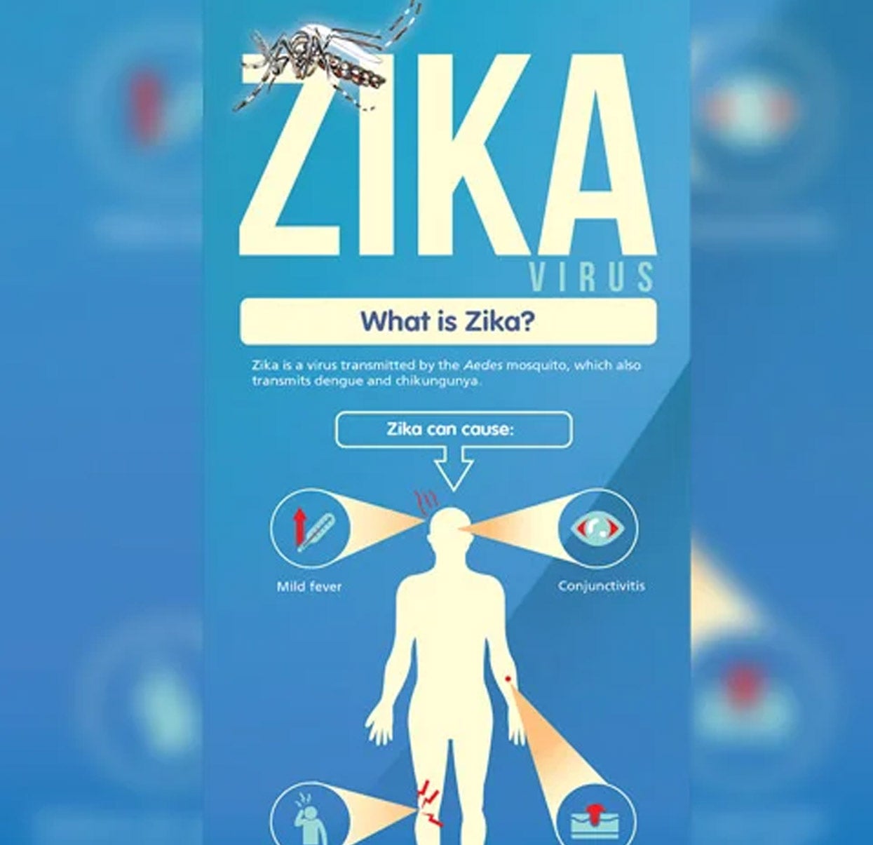 Zika infographic preview