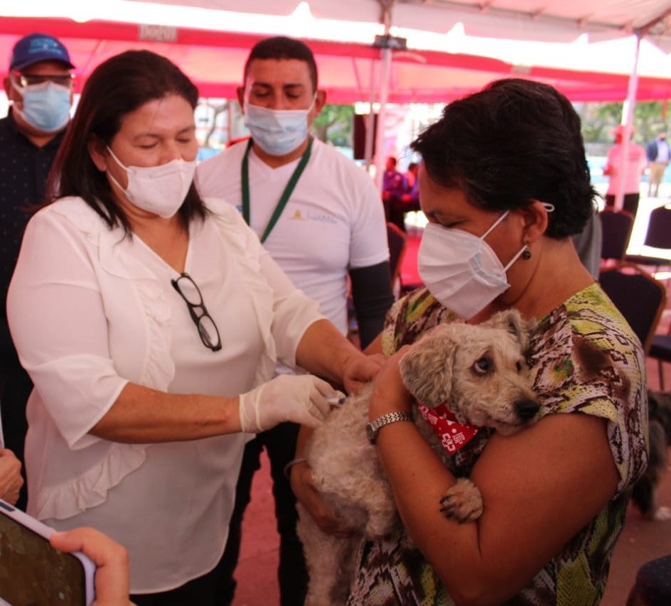 Reina Teresa Velasquez, aplicando la vacuna antirrabica a un perro hnd