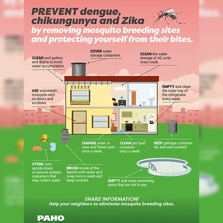 Poster - Prevention of dengue, chikungunya and Zika at home