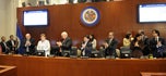 Consejo Permanente de la OEA despidió a la doctora Roses con elogios a sus diez años gestión 