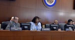 Directora de la OPS/OMS presentó situación del ébola en África y del chikungunya en las Américas ante el Consejo Permanente de la OEA 