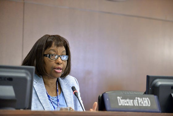 PAHO Director briefs OAS on ebola situation in Africa and chikungunya in the Americas