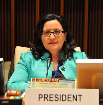 Minister of Health of Honduras elected President of 55th Directing Council