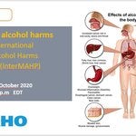 Estimating alcohol harms using the International Model of Alcohol Harms and Policies (InterMAHP)
