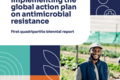 Primer informe bienal plan mundial resistencia antimicrobianos