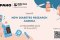 Launch of the new Diabetes Research Agenda