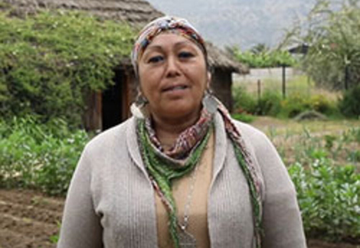 Soy clave: Ruth Antipichún, médica mapuche de Lampa, Región Metropolitana de Santiago