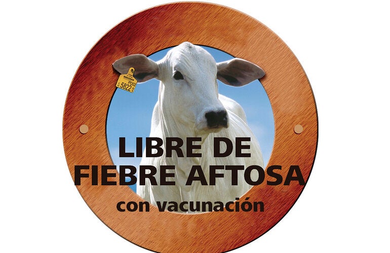 Colombia recupera el estatus de libre de fiebre aftosa con vacunación 