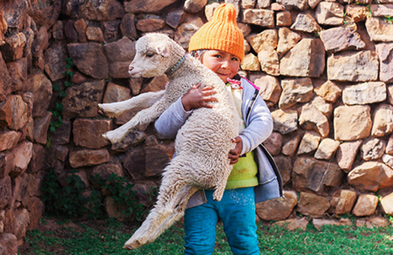 Niña latinoamericana con oveja