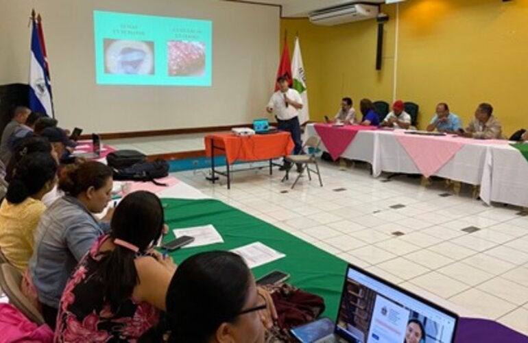 Taller para el abordaje del controlde la teniasis/cisticercosis