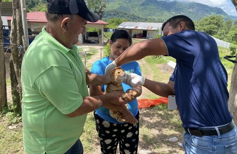 personal de salud vacunando a un gato