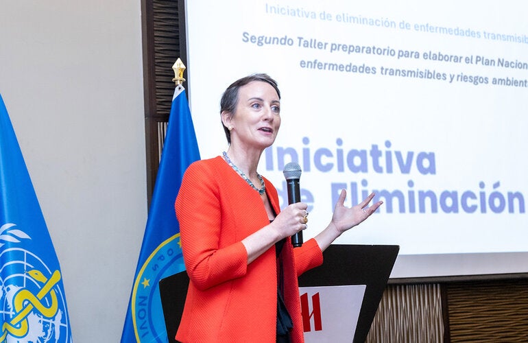 Fotografía de la participación de la Dra. Ana Rivière Cinnamond en el Segundo Taller preparatorio para elaborar el Plan Nacional para la eliminación de enfermedades transmisibles y riesgos ambientales 2025-2030.