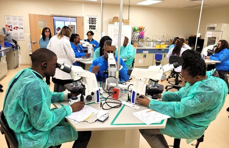 Especialistas que participaron en el taller, sentados haciendo observaciones en el microscopios