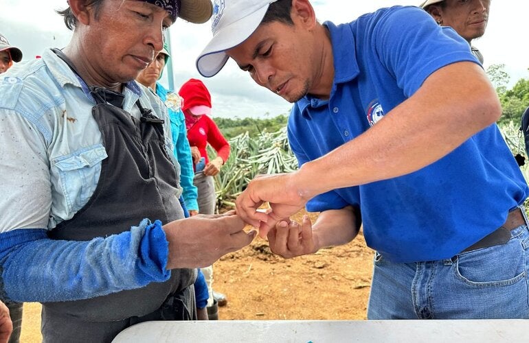 Inspector de salud realizando una prueba rápida de malaria a trabajador de fincas