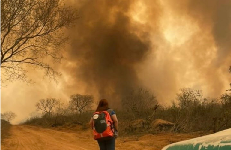 Emergencia Chaco