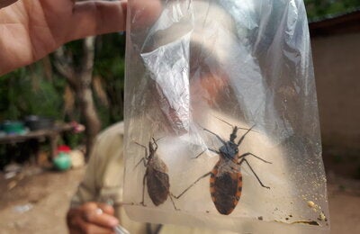 chagas-publication-guide