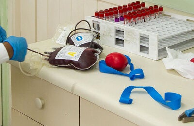Manipulación de una bolsa de sangre y tubos de muestras