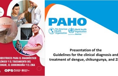 Presentation of the  Guidelines for the clinical diagnosis and treatment of dengue, chikungunya, and Zika