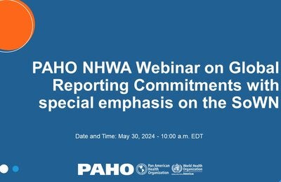 PAHO NHWA Webinar on Global Reporting Commitments with special emphasis on the SoWN