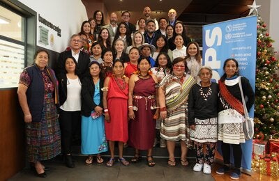 Participantes del Encuentro Regional sobre Salud Materno-Neonatal y Pueblos Indígenas