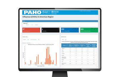 Miniature of the influenza dashboard opening screen