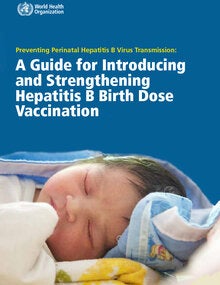 Preventing Perinatal Hepatitis B Virus Transmission: A Guide For ...