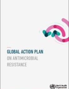 Global Action Plan On Antimicrobial Resistance - PAHO/WHO | Pan ...