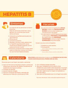 Enfermedades Prevenibles Por Vacunación: Hepatitis B - OPS/OMS ...