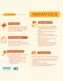 Vaccine Preventable Diseases: Hepatitis B - PAHO/WHO | Pan American ...